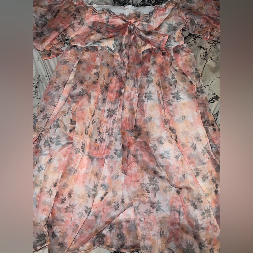 Allover Floral Print Puff Sleeve Dress